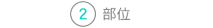 部位